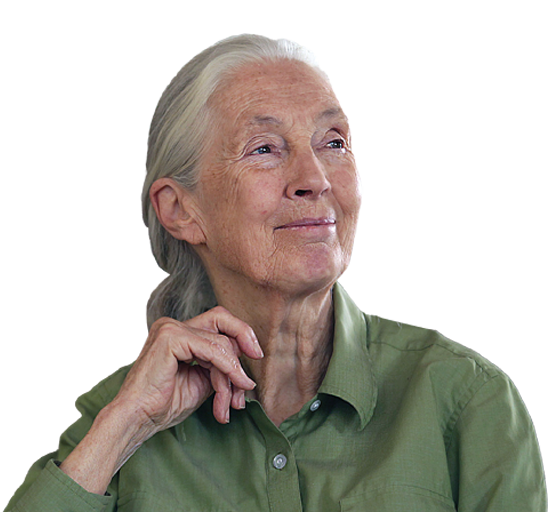 dr-jane-goodall